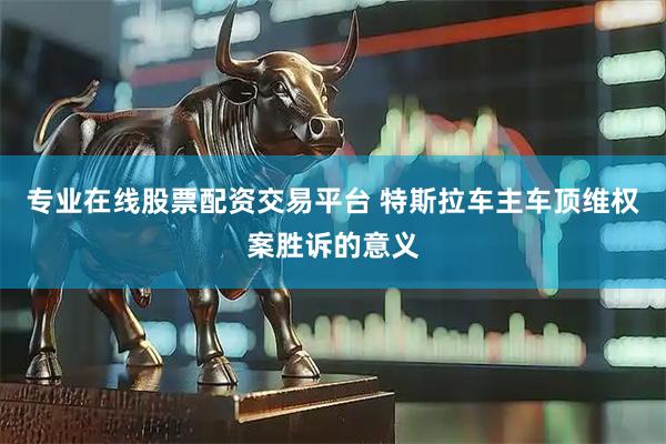 专业在线股票配资交易平台 特斯拉车主车顶维权案胜诉的意义