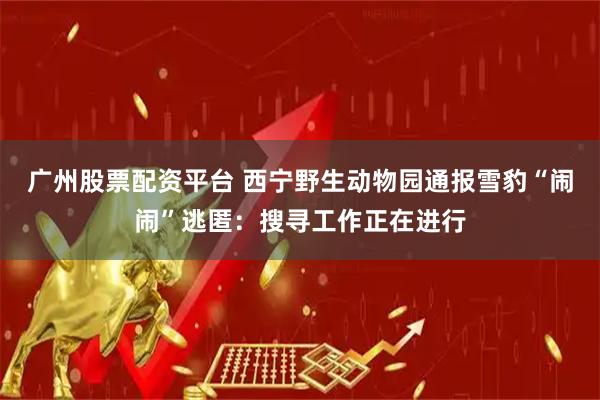 广州股票配资平台 西宁野生动物园通报雪豹“闹闹”逃匿：搜寻工作正在进行