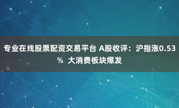 专业在线股票配资交易平台 A股收评：沪指涨0.53%  大消费板块爆发