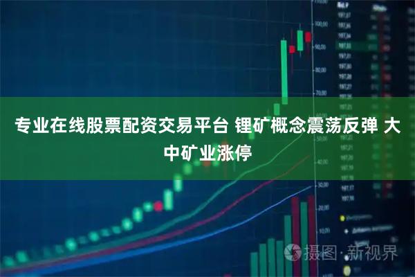 专业在线股票配资交易平台 锂矿概念震荡反弹 大中矿业涨停