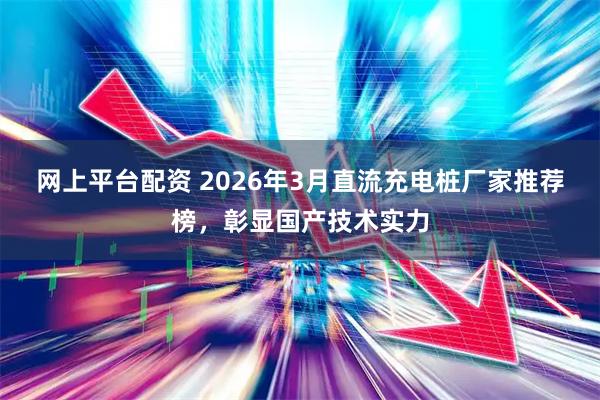 网上平台配资 2026年3月直流充电桩厂家推荐榜，彰显国产技术实力
