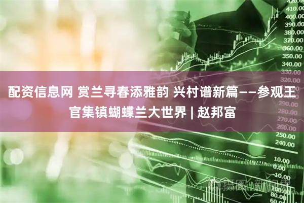 配资信息网 赏兰寻春添雅韵 兴村谱新篇——参观王官集镇蝴蝶兰大世界 | 赵邦富