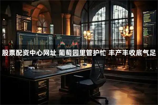 股票配资中心网址 葡萄园里管护忙 丰产丰收底气足